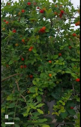 Casa Para Vender com 03 quartos 03 suítes no bairro Itamaracá em Ilha De Itamaracá