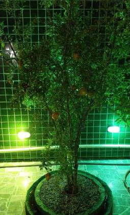 Casa Para Vender com 03 quartos 03 suítes no bairro Itamaracá em Ilha De Itamaracá