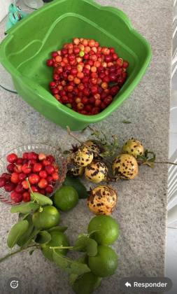 Casa Para Vender com 03 quartos 03 suítes no bairro Itamaracá em Ilha De Itamaracá