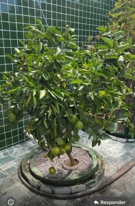 Casa Para Vender com 03 quartos 03 suítes no bairro Itamaracá em Ilha De Itamaracá