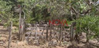 Sítio com 84 tarefas em São Cristovão