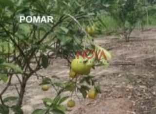 Sítio com 84 tarefas em São Cristovão