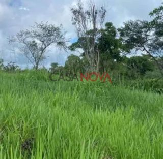 Fazenda com 450 tarefas em Simão Dias