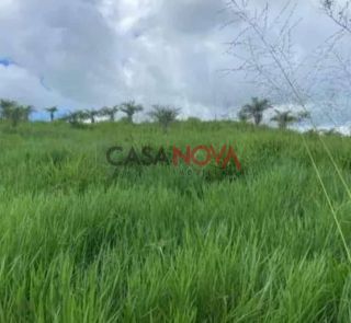 Fazenda com 450 tarefas em Simão Dias