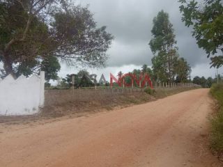 Oportunidade - Fazenda com 72 tarefas em Japaratuba