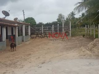 Oportunidade - Fazenda com 72 tarefas em Japaratuba