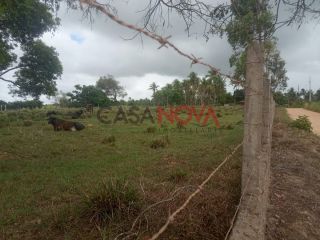 Oportunidade - Fazenda com 72 tarefas em Japaratuba