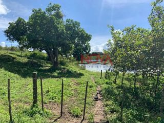 Oportunidade: Vendo ou Troco Sítio de 14 tarefas em Itabaiana