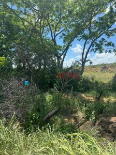 Área com 30.000 m² em Socorro