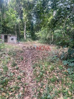 Sítio com 30 Tarefas no Povoado Nova Descoberta em Itaporanga