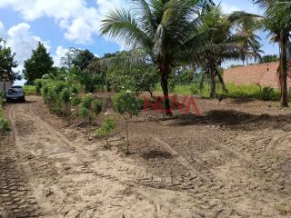 Sítio com 20 Tarefas em Malhador