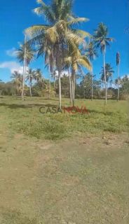 Sítio com 9 tarefas em Itaporanga