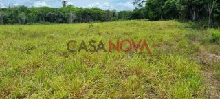 Fazenda com 72 tarefas em Salgado