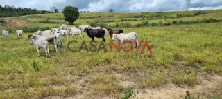 Fazenda com 72 tarefas em Salgado