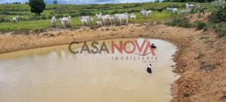 Fazenda com 72 tarefas em Salgado