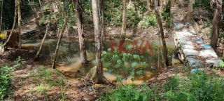 Fazenda com 72 tarefas em Salgado