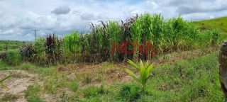 Fazenda com 72 tarefas em Salgado