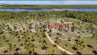 Excelente Fazenda em Estância com 160 tarefas