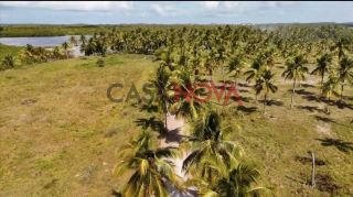 Excelente Fazenda em Estância com 160 tarefas
