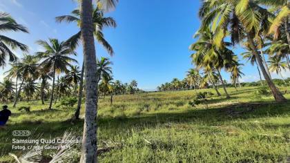 Vendo ou troco terreno com 30.000 m² em Estância