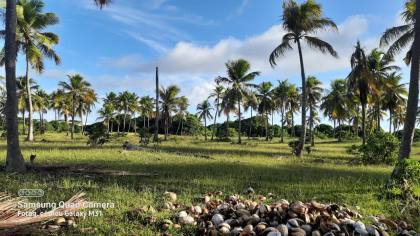 Vendo ou troco terreno com 30.000 m² em Estância