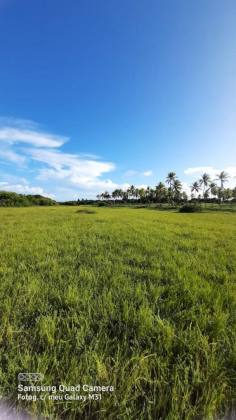 Vendo ou troco terreno com 30.000 m² em Estância