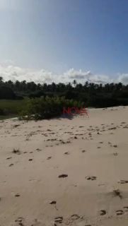 Excelente Área com 133 tarefas em Estância para Resort ou Condomínio Fechado