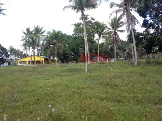 Sitio com 11,5 tarefas em Itaporanga