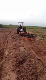 Fazenda com 200 tarefas em Itapicuru