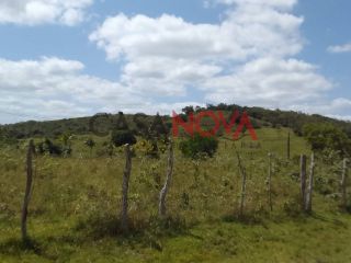 Fazenda com 141 tarefas em Salgado