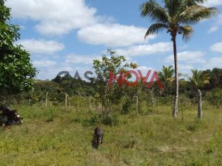 Fazenda com 141 tarefas em Salgado