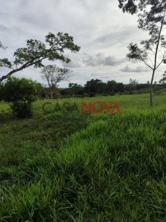 Fazenda com 141 tarefas em Salgado