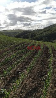 Fazenda com 150 tarefas em Campo do Brito