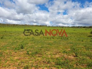 Fazenda em Ribeira do Pombal na Bahia, com 1900 tarefas