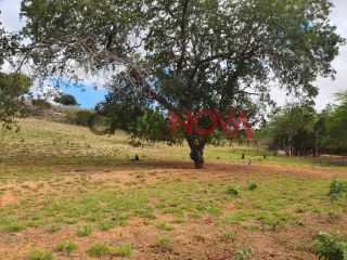 Fazenda em Ribeira do Pombal na Bahia, com 1900 tarefas