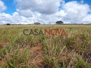 Fazenda em Ribeira do Pombal na Bahia, com 1900 tarefas