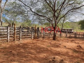 Fazenda em Ribeira do Pombal na Bahia, com 1900 tarefas