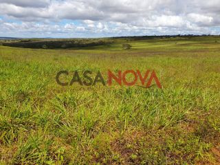 Fazenda em Ribeira do Pombal na Bahia, com 1900 tarefas