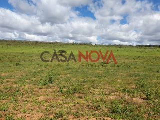 Fazenda em Ribeira do Pombal na Bahia, com 1900 tarefas