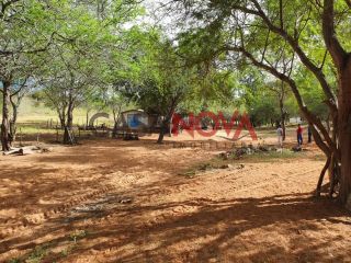 Fazenda em Ribeira do Pombal na Bahia, com 1900 tarefas