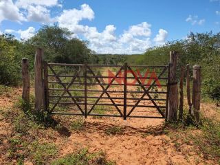 Fazenda em Ribeira do Pombal na Bahia, com 1900 tarefas