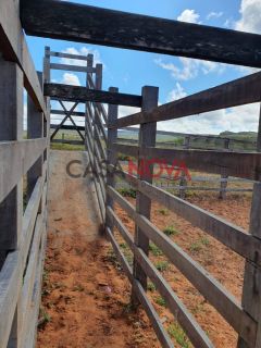 Fazenda em Ribeira do Pombal na Bahia, com 1900 tarefas