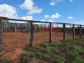 Fazenda em Ribeira do Pombal na Bahia, com 1900 tarefas