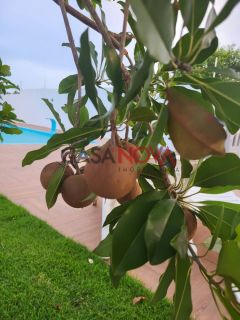 Excelente Chácara no Mosqueiro com 5600 m²