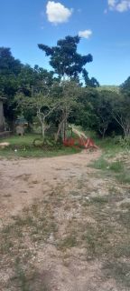 Sítio com Granja em Itaporanga