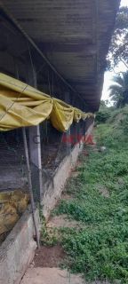 Sítio com Granja em Itaporanga