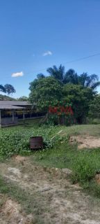 Sítio com Granja em Itaporanga