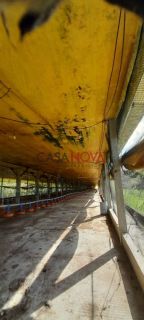 Sítio com Granja em Itaporanga