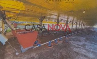 Sítio com Granja em Itaporanga
