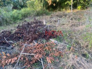 Oportunidade: Terreno em Nossa Senhora do Socorro com 17.000m²